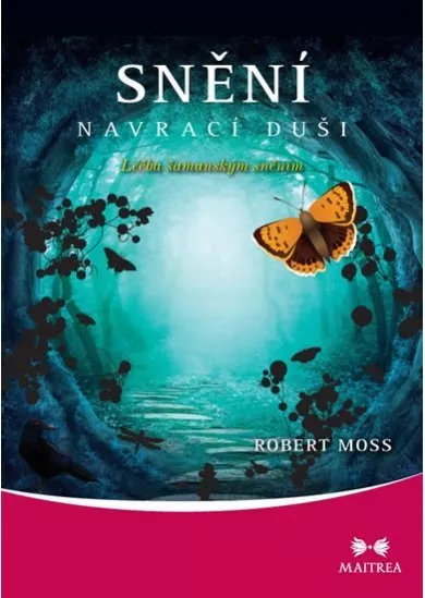 Snění navrací duši - Léčba šamanským sněním