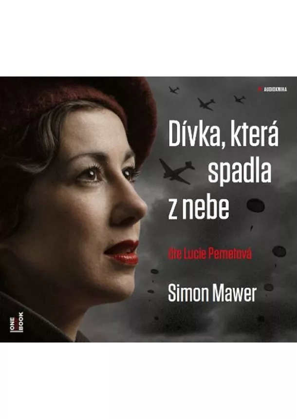 Mawer Simon - Dívka, která spadla z nebe - CDmp3 (Čte Lucie Pernetová)