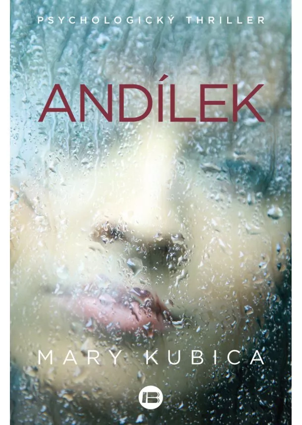 Mary Kubica - Andílek