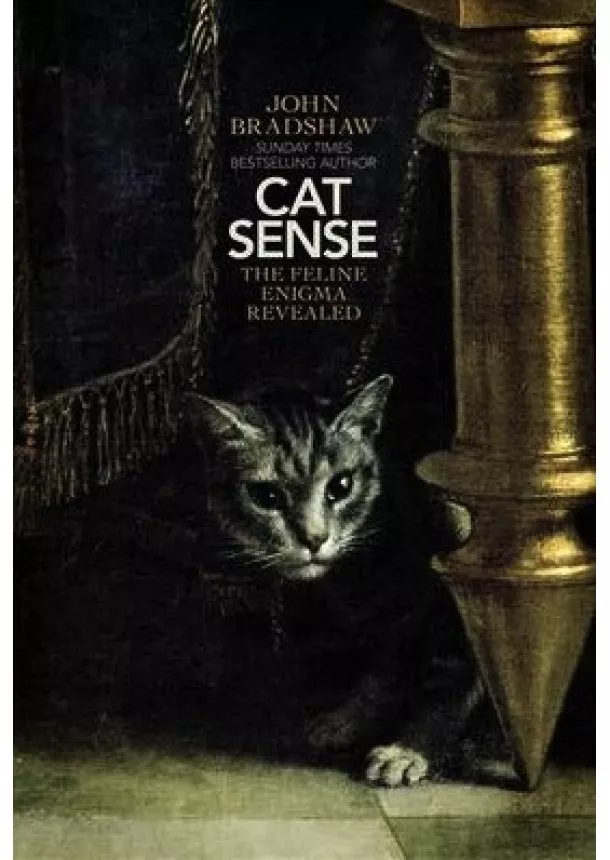 John Bradshaw - Cat Sense