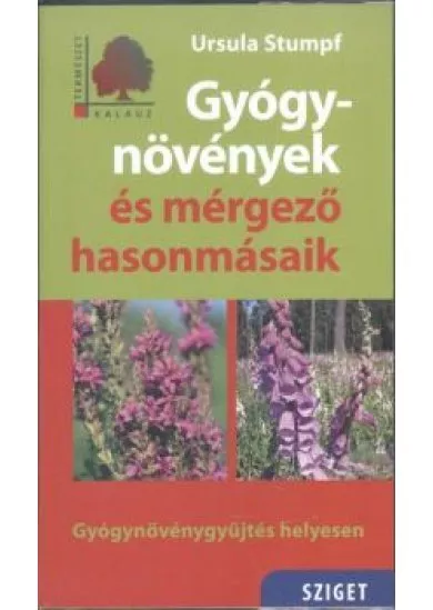 Gyógynövények és mérgező hasonmásaik - Gyógynövénygyűjtés helyesen /Természet kalauz