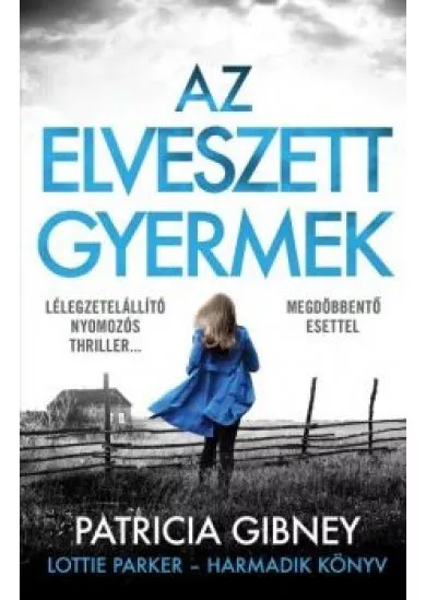 AZ ELVESZETT GYERMEK