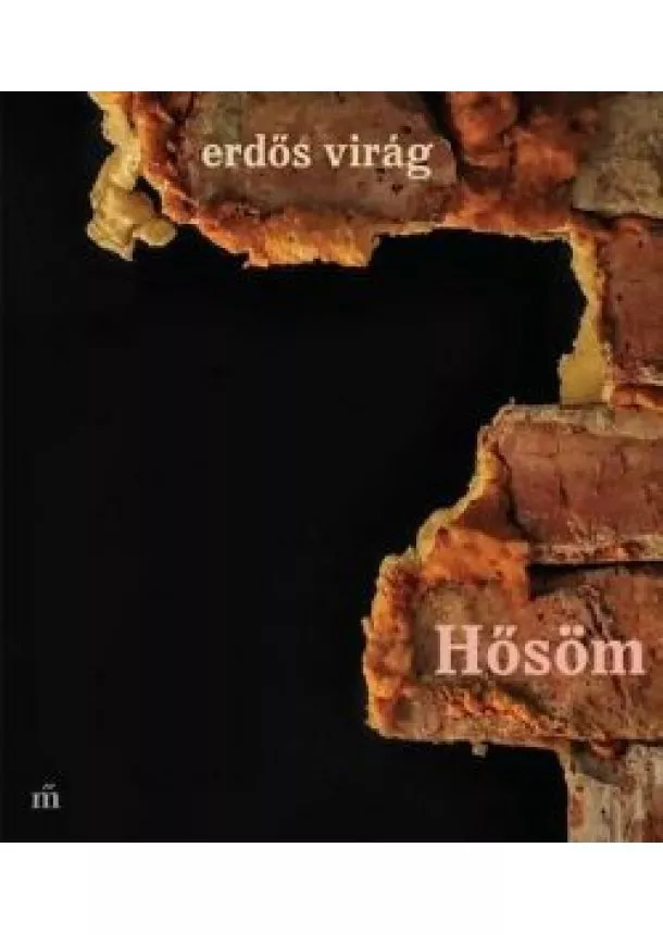 Erdős Virág - Hősöm