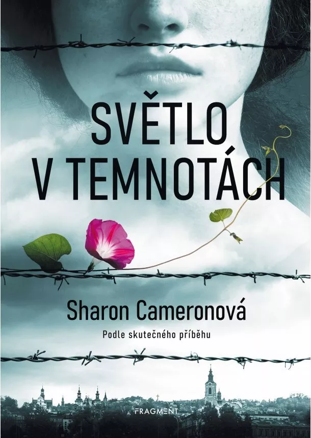 Sharon Cameronová - Světlo v temnotách