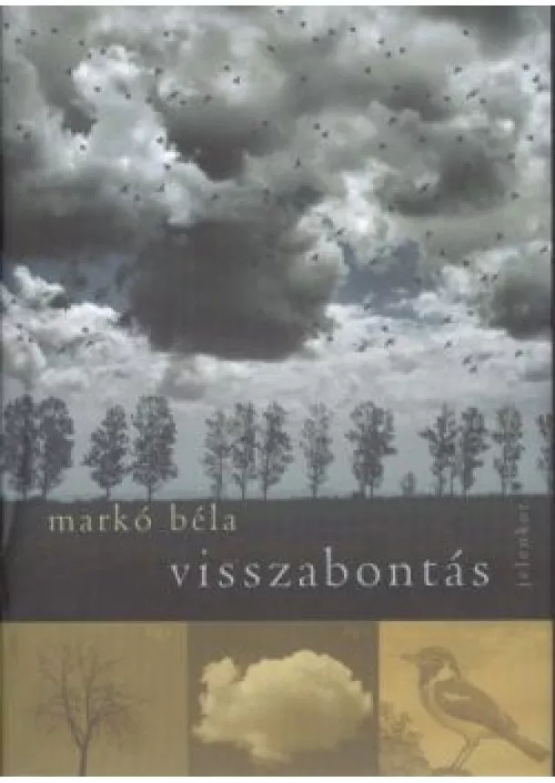 Markó Béla - VISSZABONTÁS §ÜKH 82.