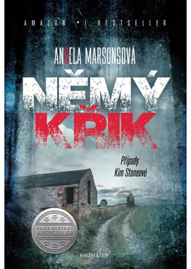 Angela Marsonsová - Případy Kim Stoneové 1: Němý křik