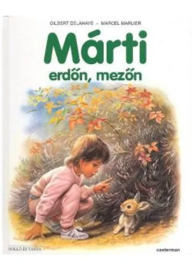 MÁRTI ERDŐN, MEZŐN