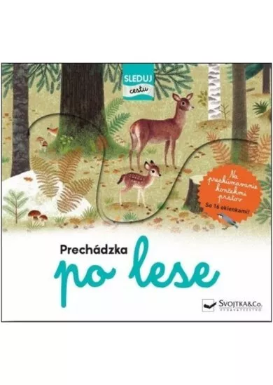 Prechádzka po lese – sleduj cestu