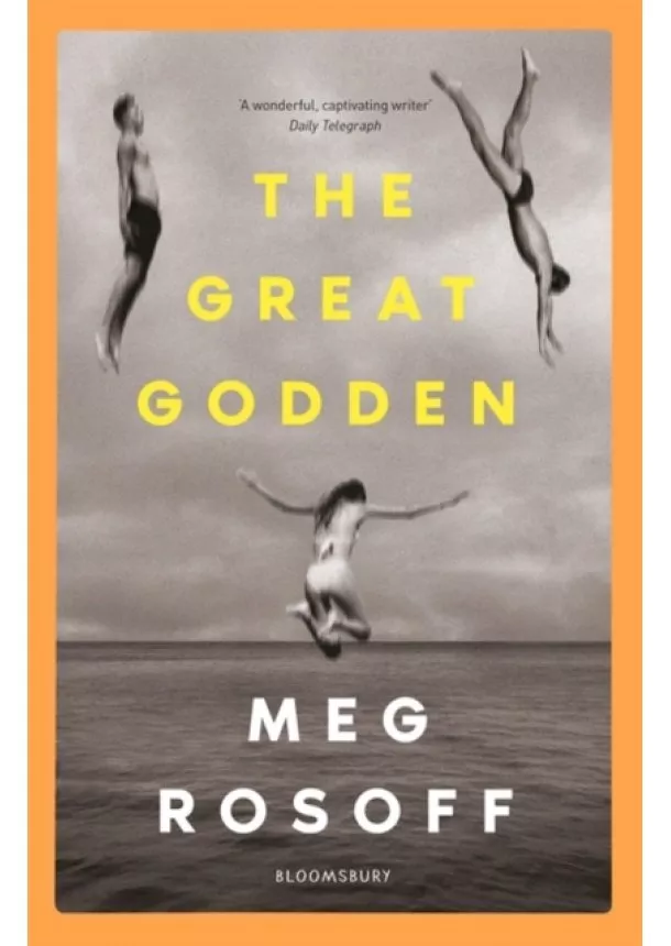 Meg Rosoff - The Great Godden