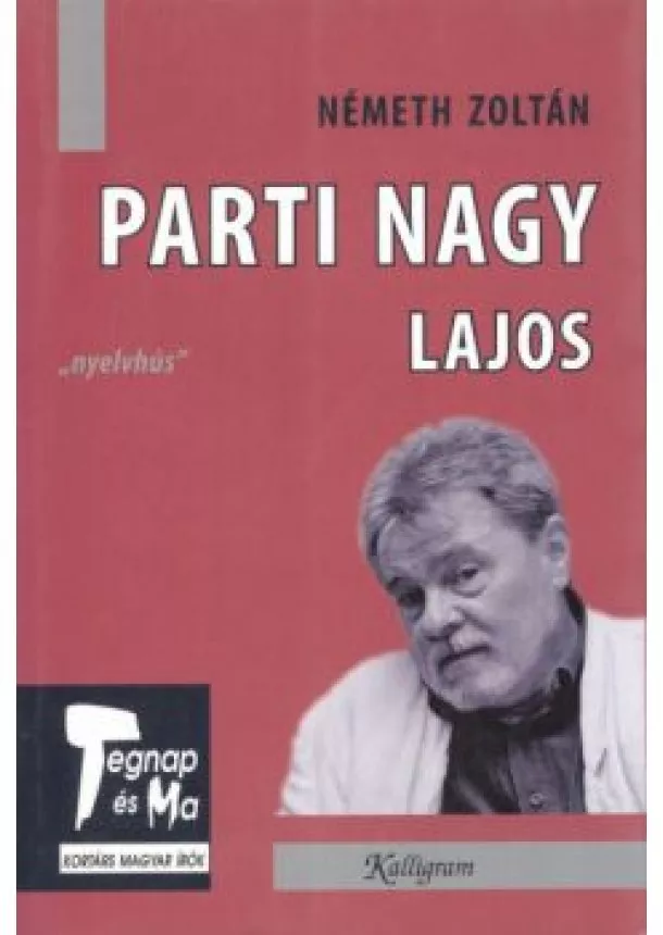 Németh Zoltán - PARTI NAGY LAJOS /