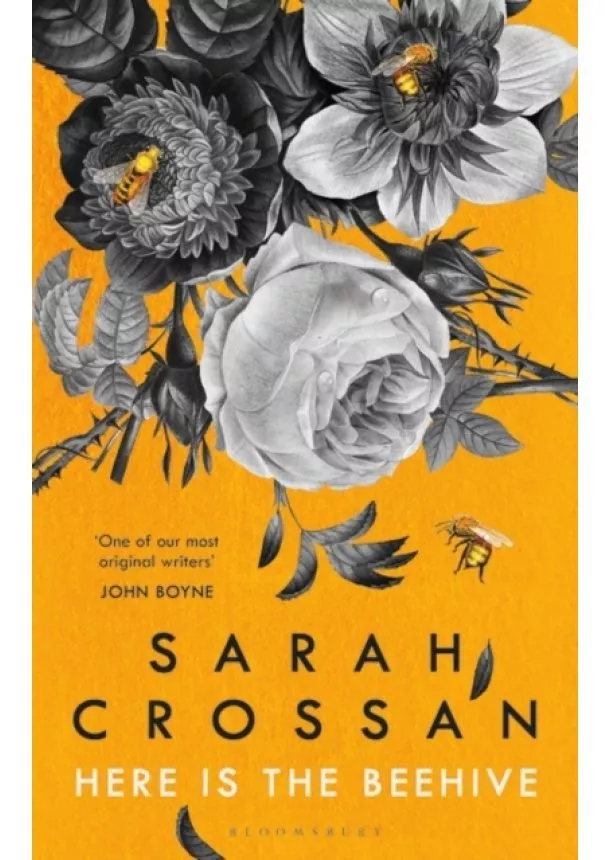 Sarah Crossan - Here is the Beehive