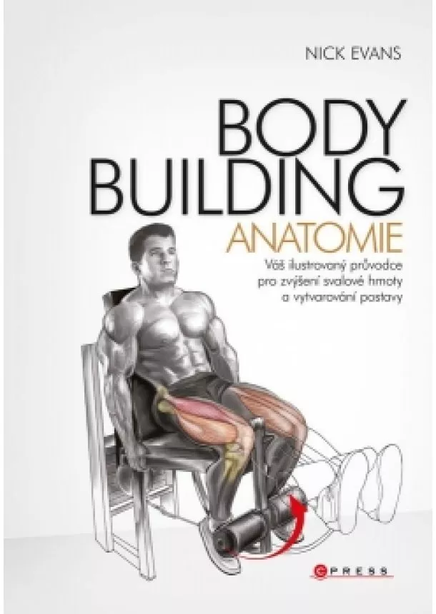 Nick Evans - Bodybuilding - anatomie