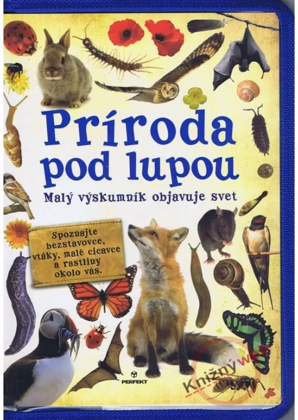 Terry Jennings - Príroda pod lupou - Malý výskumník objavuje svet