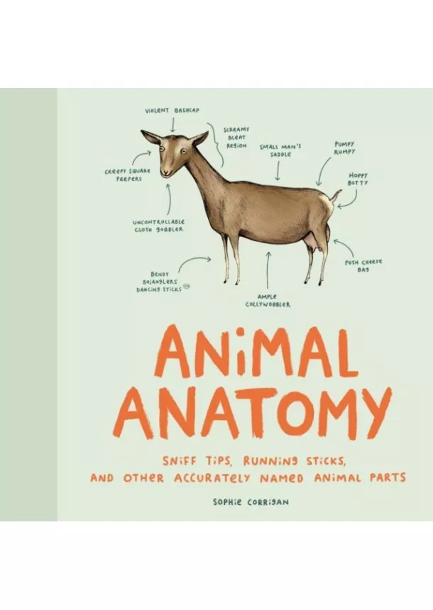 Sophie Corrigan - Accurate Animal Anatomy