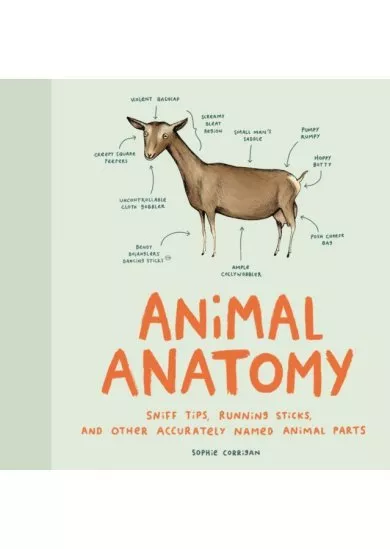 Accurate Animal Anatomy