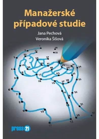 Manažerské případové studie