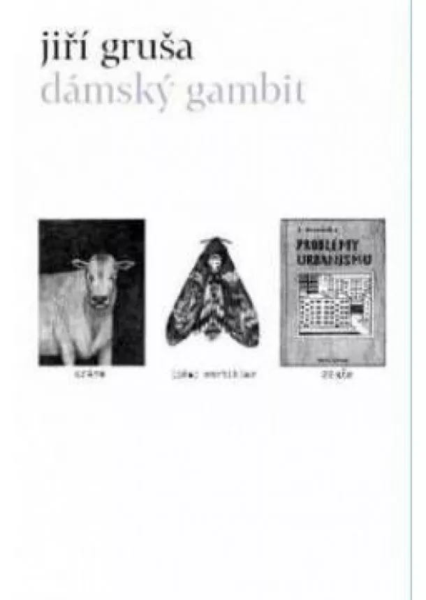 Jiří Gruša - Dámský gambit