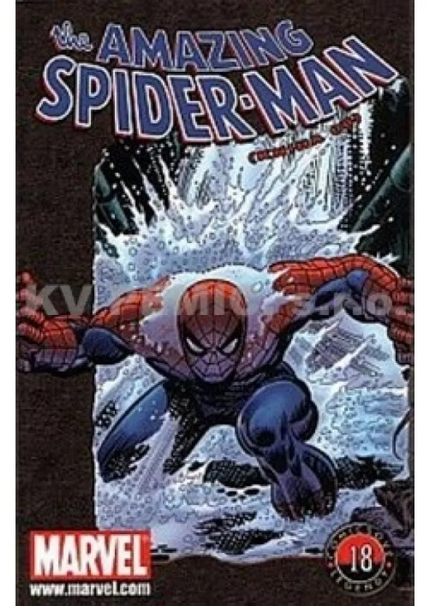 Stan Lee - Spider-man 6 - Comicsové legendy 18