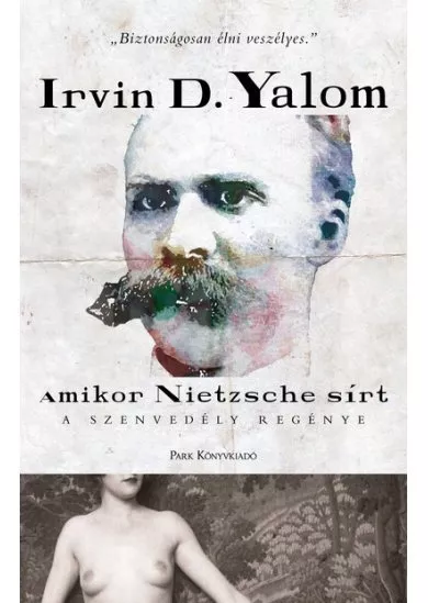 Amikor Nietzsche sírt - A szenvedély regénye