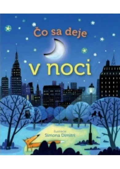 Čo sa deje v noci