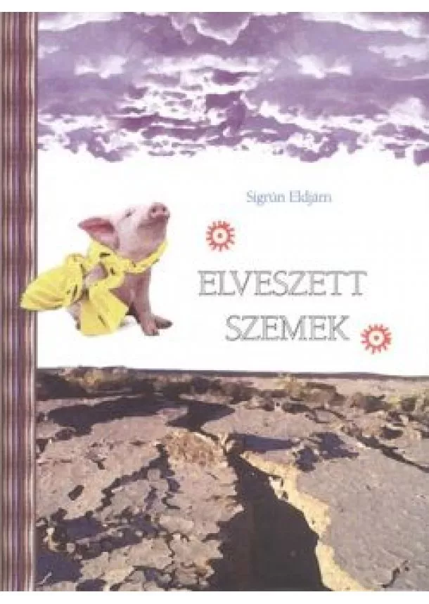 Sigrún Eldjárn - Elveszett szemek