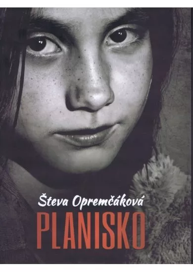 Planisko