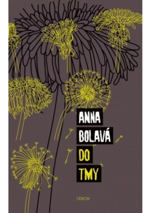 Anna Bolavá - Do tmy