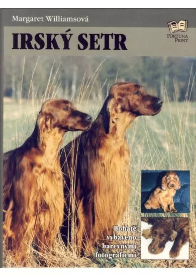 Irský setr