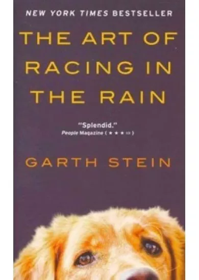 The Art of Racing in the Rain