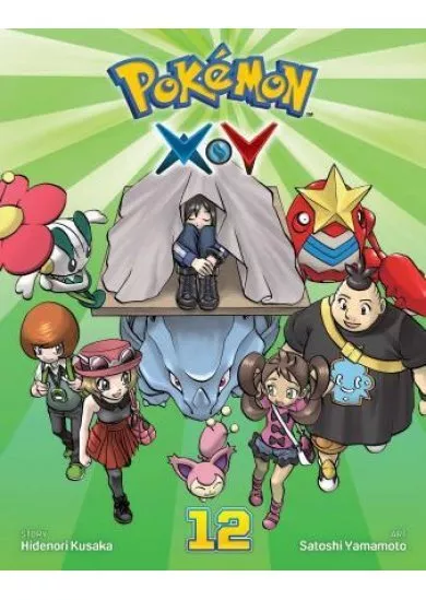 Pokemon X*Y 12