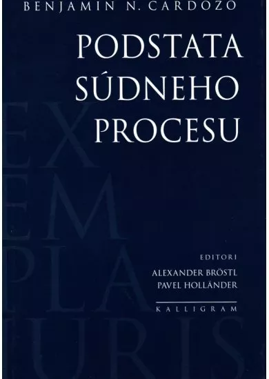 Podstata súdneho procesu