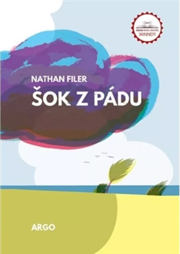 Nathan Filer - Šok z pádu