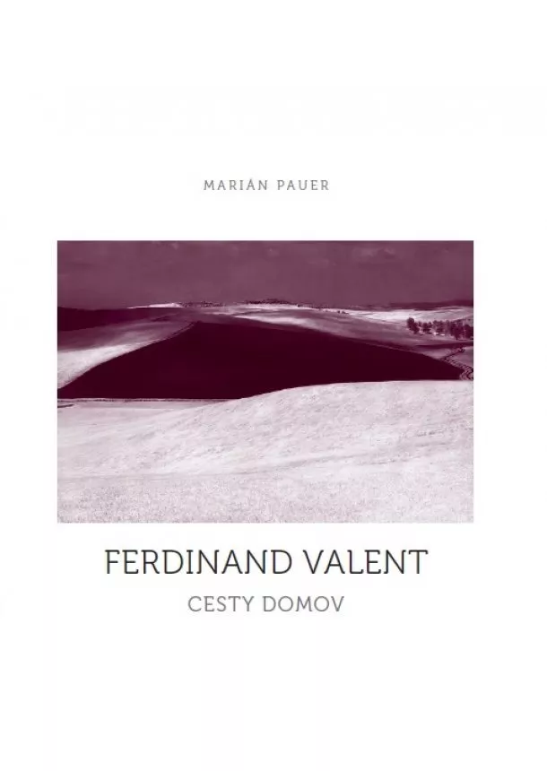 Ferdinand Valent - Cesty domov