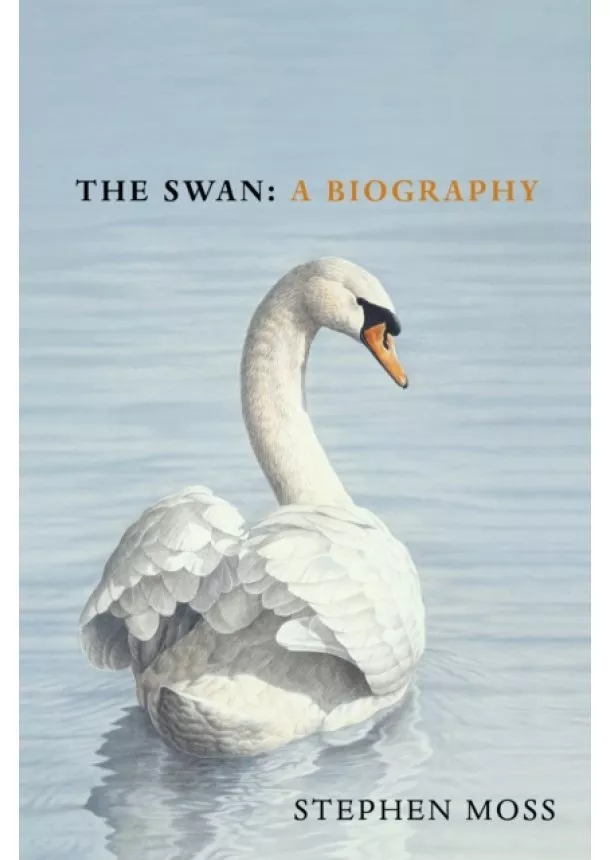 Stephen Moss - The Swan