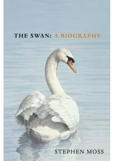 The Swan