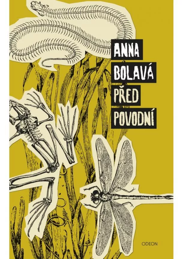 Anna Bolavá - Před povodní