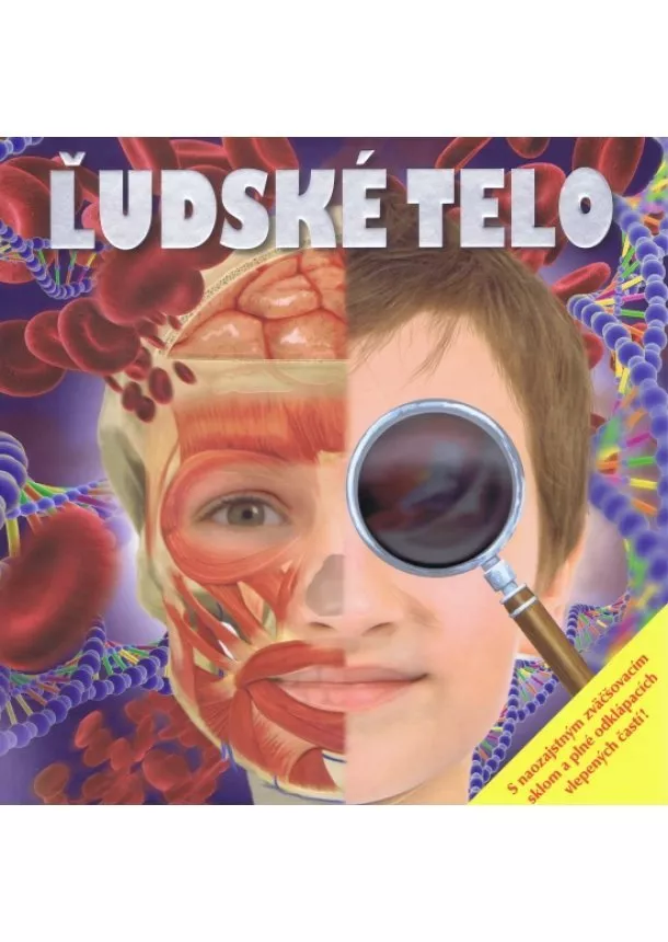 autor neuvedený - Ľudské telo