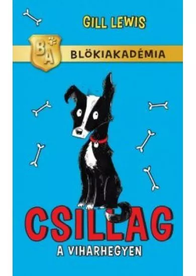 Csillag a viharhegyen /Blökiakadémia