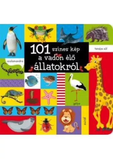 101 színes kép a vadon élő állatokról