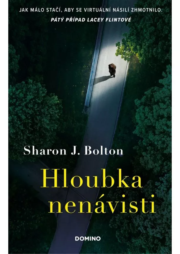 Sharon J. Bolton - Hloubka nenávisti