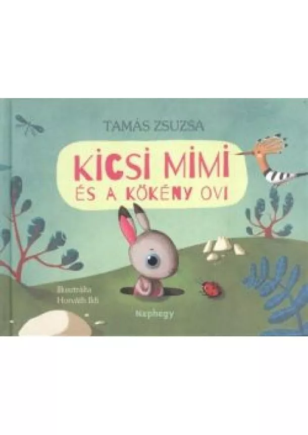 Tamás Zsuzsa - Kicsi Mimi és a Kökény ovi