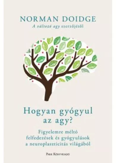 Hogyan gyógyul az agy? - Figyelemre méltó felfedezések és gyógyulások a neuroplaszticitás világából