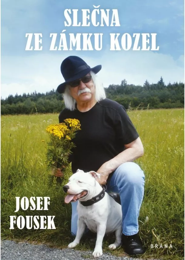 Josef Fousek - Slečna ze zámku Kozel