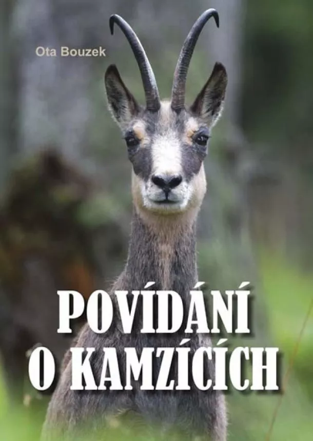 Bouzek Ota - Povídání o kamzících