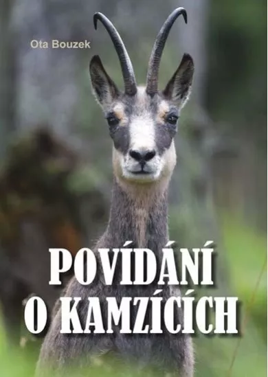 Povídání o kamzících