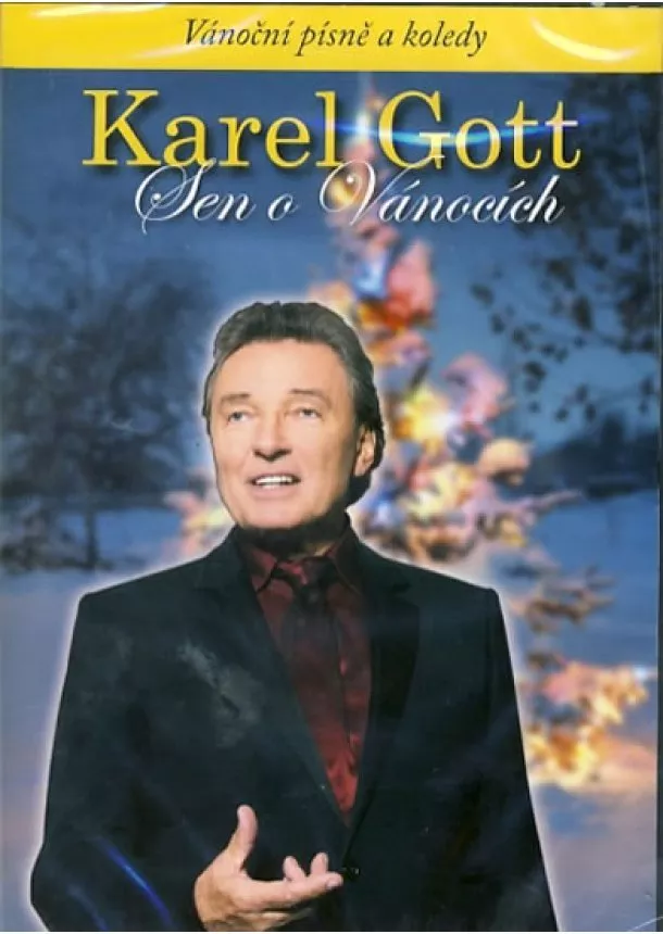 Gott Karel - Sen o vánocích - DVD