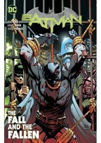 Batman Volume 11 The Fall and the Fallen