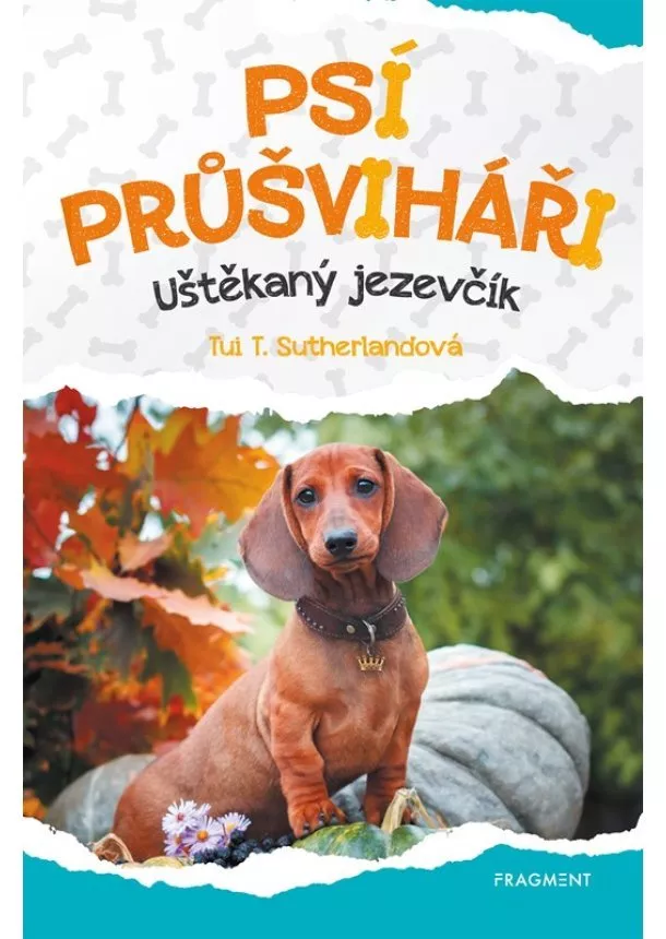 Tui T. Sutherland - Psí průšviháři - Uštěkaný  jezevčík 