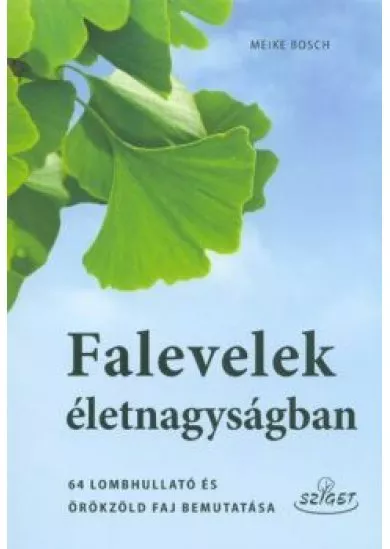 Falevelek életnagyságban /64 lombhullató és örökzöld faj bemutatása