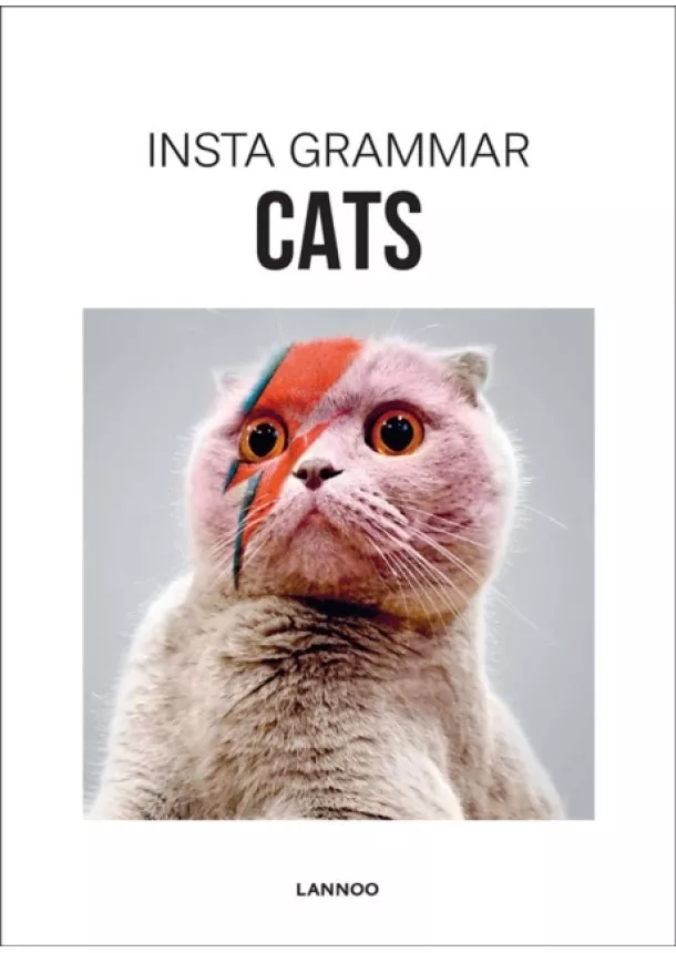 Insta Grammar: Cats